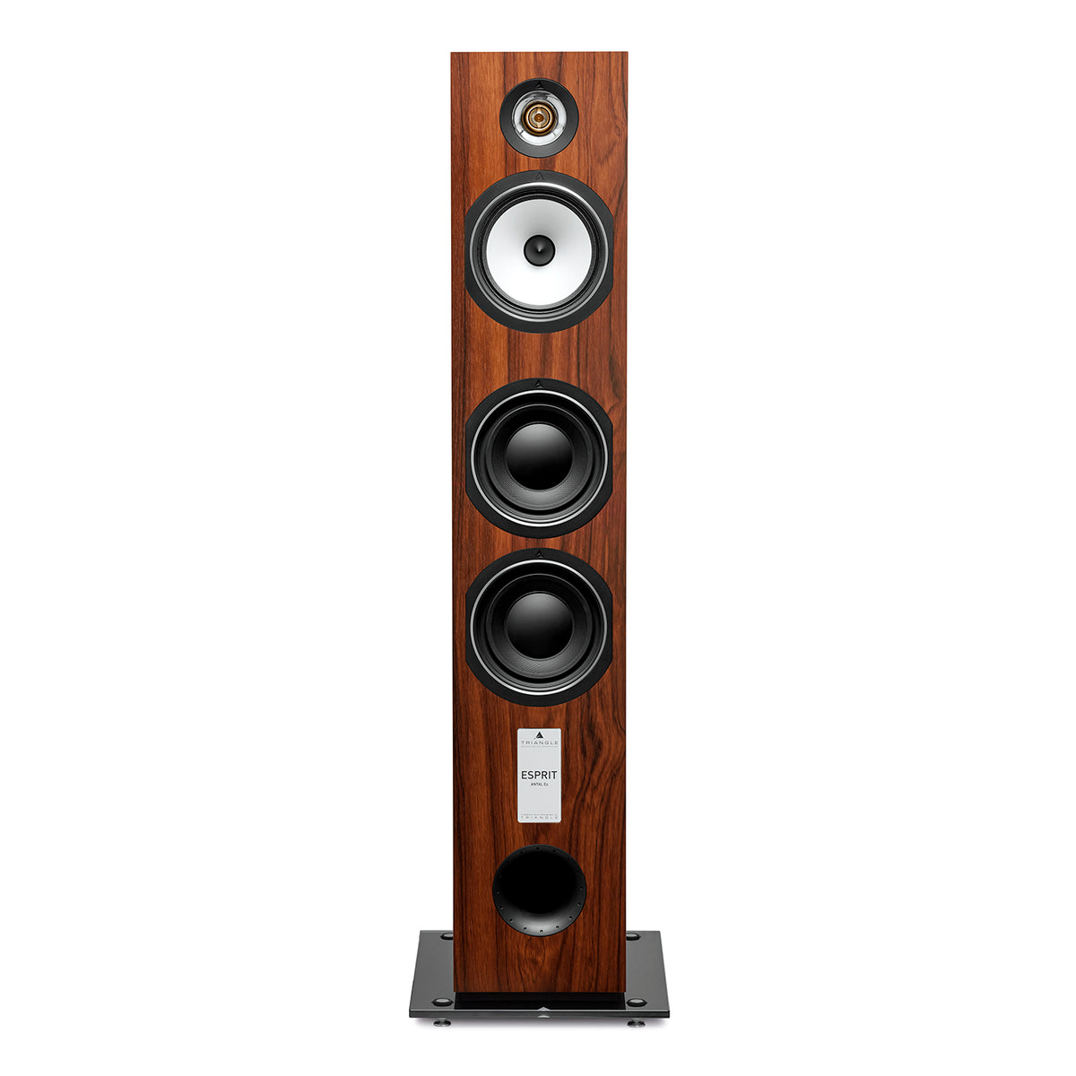 Esprit Ez - Antal Ez