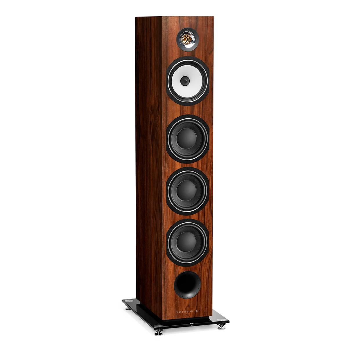 Esprit Ez - Australe Ez