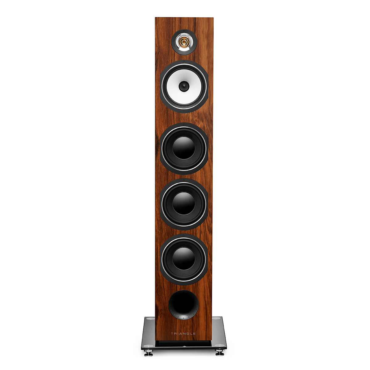Esprit Ez - Australe Ez
